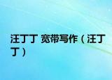 汪丁丁 宽带写作（汪丁丁）