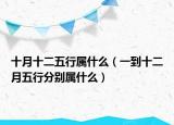 十月十二五行属什么（一到十二月五行分别属什么）