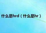 什么是hrd（什么是hr）