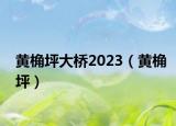 黄桷坪大桥2023（黄桷坪）