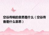 空谷传响的意思是什么（空谷传音是什么意思）