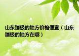 山东蹦极的地方价格便宜（山东蹦极的地方在哪）