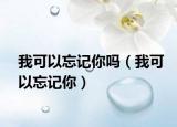 我可以忘记你吗（我可以忘记你）