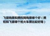 飞猪购票和携程网购票哪个好（携程和飞猪哪个抢火车票比较好用）