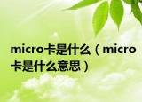 micro卡是什么（micro卡是什么意思）