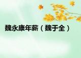魏永康年薪（魏于全）