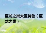巨龙之巢大区特色（巨龙之巢）