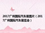 2017广州国际汽车展图片（2017广州国际汽车展览会）