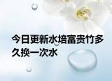 今日更新水培富贵竹多久换一次水