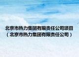 北京市热力集团有限责任公司项目（北京市热力集团有限责任公司）