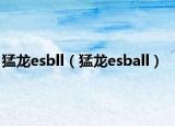 猛龙esbll（猛龙esball）