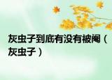 灰虫子到底有没有被阉（灰虫子）