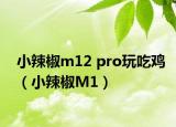 小辣椒m12 pro玩吃鸡（小辣椒M1）