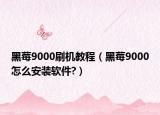 黑莓9000刷机教程（黑莓9000怎么安装软件?）
