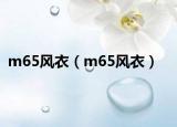 m65风衣（m65风衣）