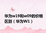 华为w19和w09的价格区别（华为W1）