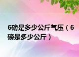 6磅是多少公斤气压（6磅是多少公斤）