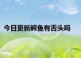 今日更新鳄鱼有舌头吗