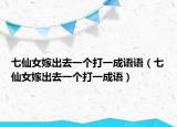 七仙女嫁出去一个打一成语语（七仙女嫁出去一个打一成语）