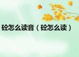 砼怎么读音（砼怎么读）