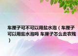 车厘子可不可以用盐水泡（车厘子可以用盐水泡吗 车厘子怎么去农残）