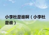 小李杜是谁啊（小李杜是谁）