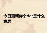 今日更新你个der是什么意思