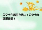 公交卡在哪里办佛山（公交卡在哪里充值）