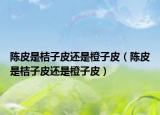 陈皮是桔子皮还是橙子皮（陈皮是桔子皮还是橙子皮）