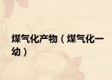 煤气化产物（煤气化一幼）