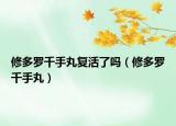 修多罗千手丸复活了吗（修多罗千手丸）