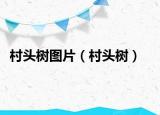 村头树图片（村头树）