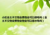 小区业主不交物业费物业可以停电吗（业主不交物业费物业物业可以停水电吗）