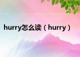 hurry怎么读（hurry）