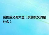 反的反义词大全（反的反义词是什么）