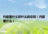 内能是什么和什么的总和（内能是什么）