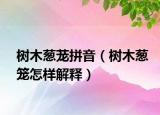 树木葱茏拼音（树木葱笼怎样解释）