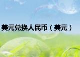 美元兑换人民币（美元）