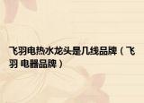 飞羽电热水龙头是几线品牌（飞羽 电器品牌）