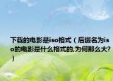 下载的电影是iso格式（后缀名为iso的电影是什么格式的,为何那么大?）