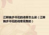 江畔独步寻花的诗意怎么读（江畔独步寻花的诗意完整的）