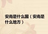 安南是什么国（安南是什么地方）