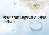 神驹312是什么摩托牌子（神驹小佳人）