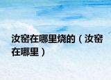 汝窑在哪里烧的（汝窑在哪里）