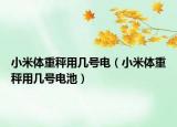 小米体重秤用几号电（小米体重秤用几号电池）