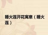睡火莲开花寓意（睡火莲）