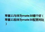 苹果11与华为mate30哪个好（苹果11和华为mate30配置对比）