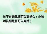 孩子在哺乳期可以离婚么（小孩哺乳期是否可以离婚）