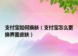 支付宝如何换肤（支付宝怎么更换界面皮肤）