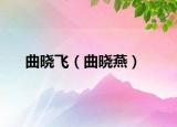 曲晓飞（曲晓燕）